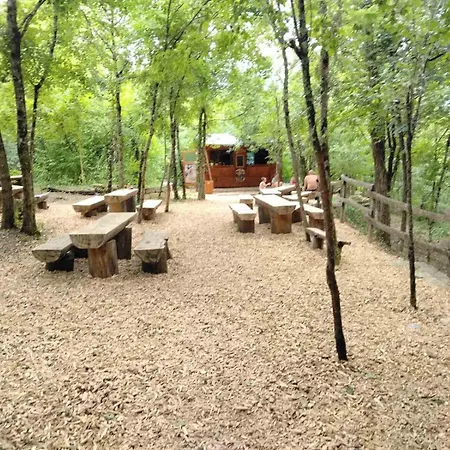 Appartamento Casa Del Pittore Zarecje